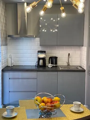 Rezydencja Wintera Great Apartment Danzica Polonia